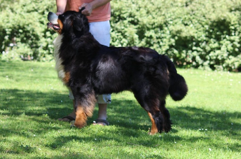 I-mac Du Hameau De Baika