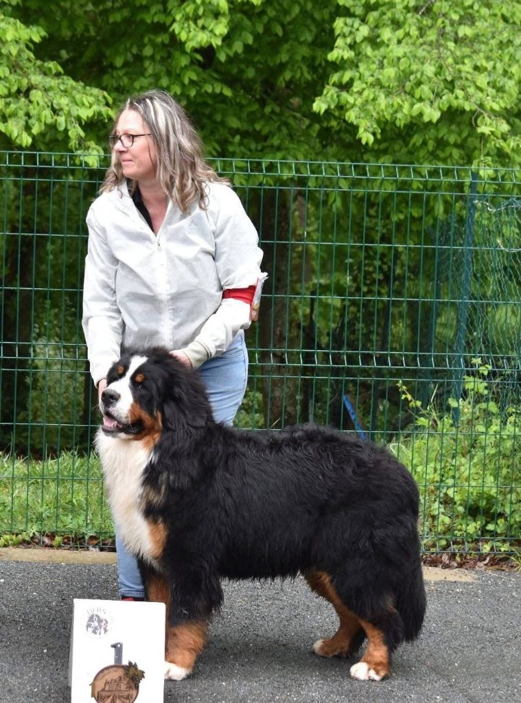 Valdess Du Hameau De Baika