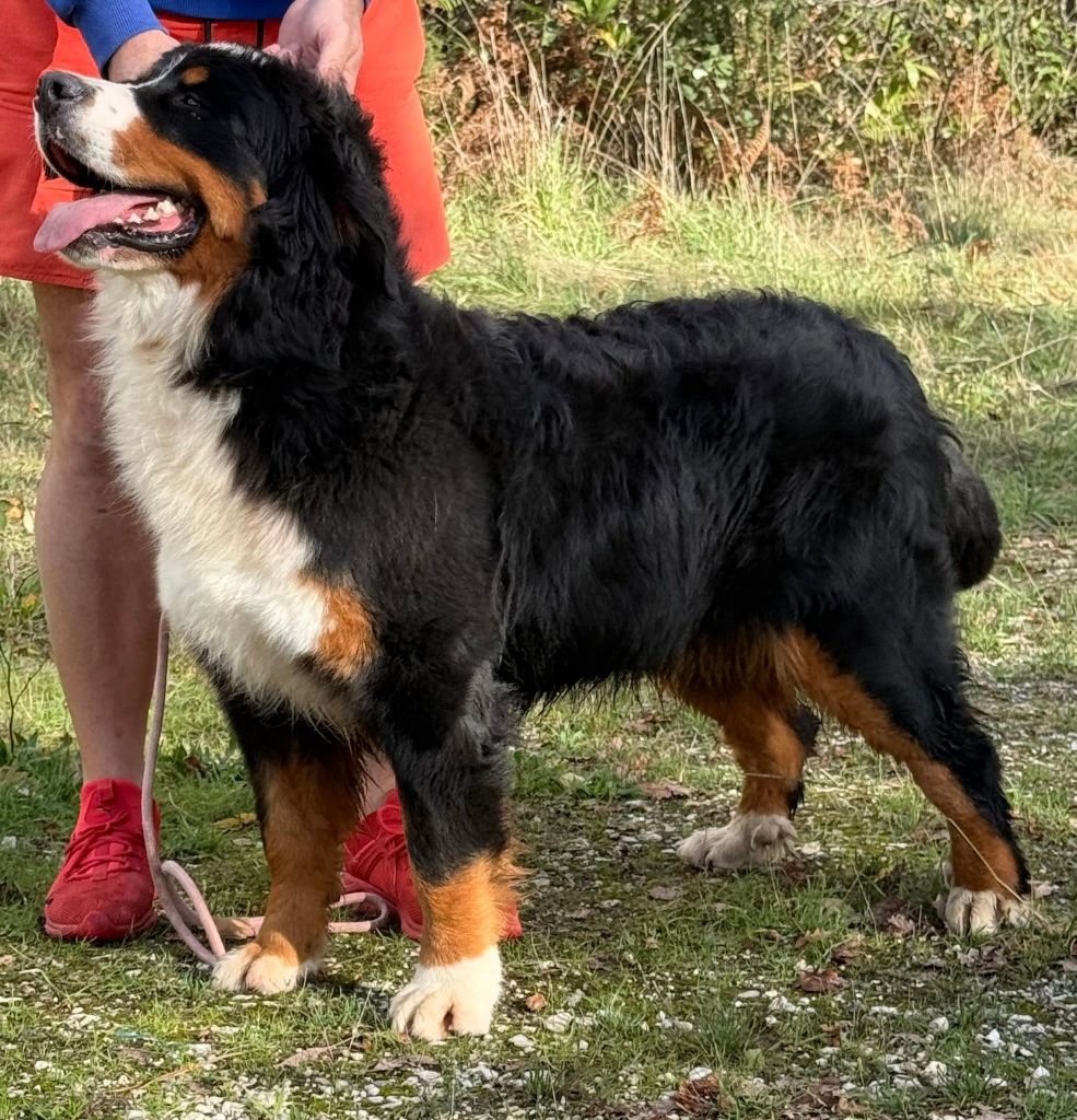 Victoria's secret Du Hameau De Baika